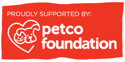 Petco Badge