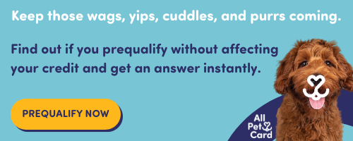 all-pet-mobile-banner